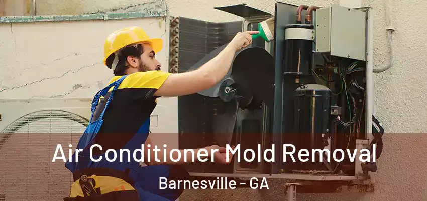 Air Conditioner Mold Removal Barnesville - GA