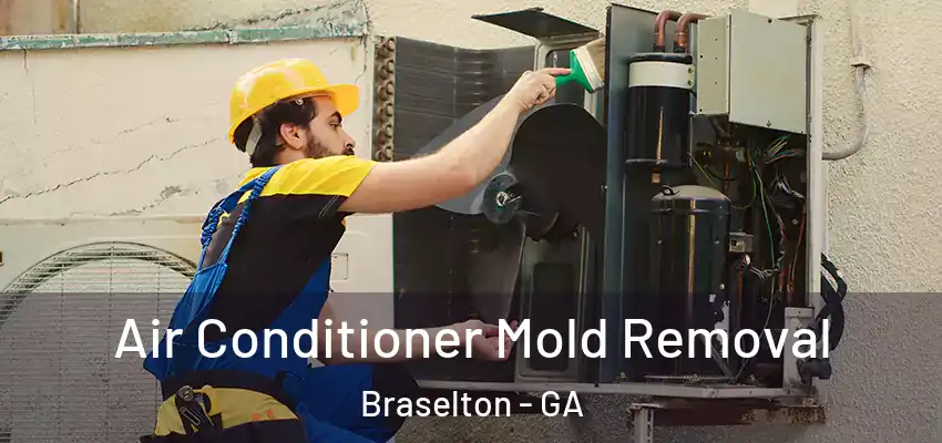 Air Conditioner Mold Removal Braselton - GA
