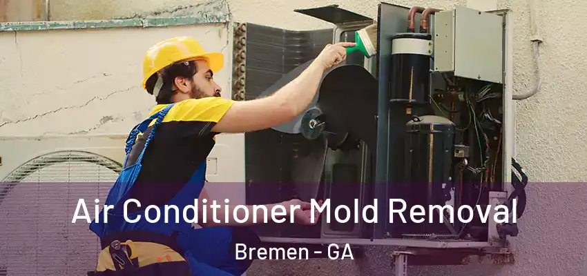 Air Conditioner Mold Removal Bremen - GA