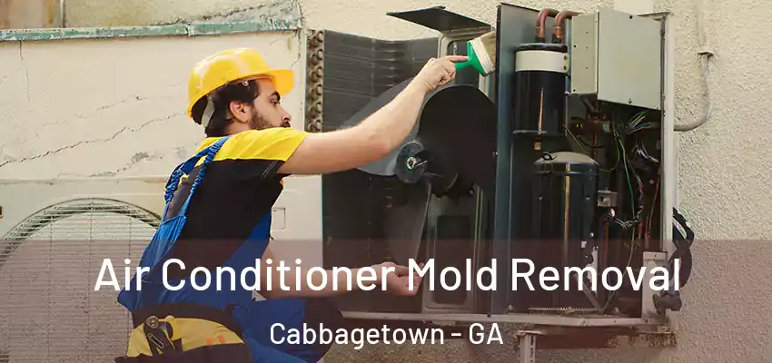 Air Conditioner Mold Removal Cabbagetown - GA