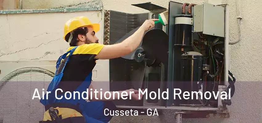 Air Conditioner Mold Removal Cusseta - GA