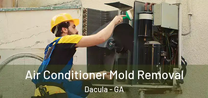 Air Conditioner Mold Removal Dacula - GA