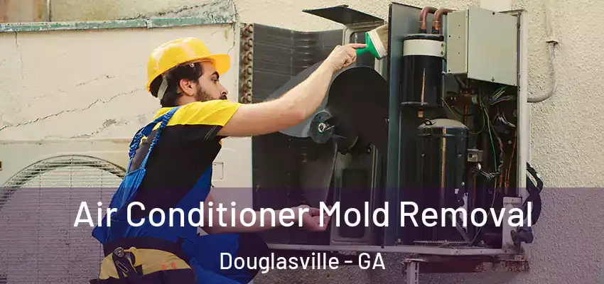 Air Conditioner Mold Removal Douglasville - GA