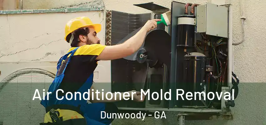  Air Conditioner Mold Removal Dunwoody - GA