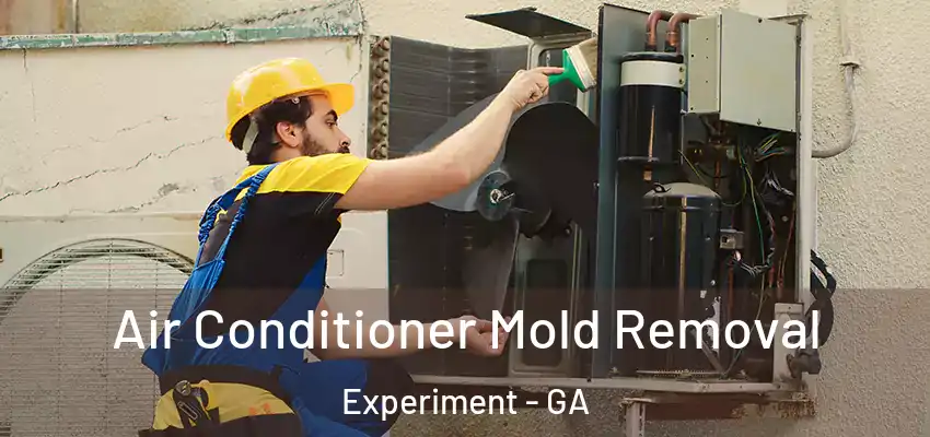  Air Conditioner Mold Removal Experiment - GA