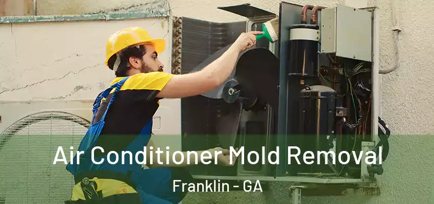 Air Conditioner Mold Removal Franklin - GA