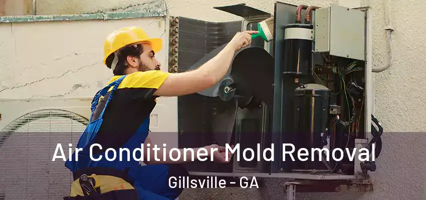 Air Conditioner Mold Removal Gillsville - GA