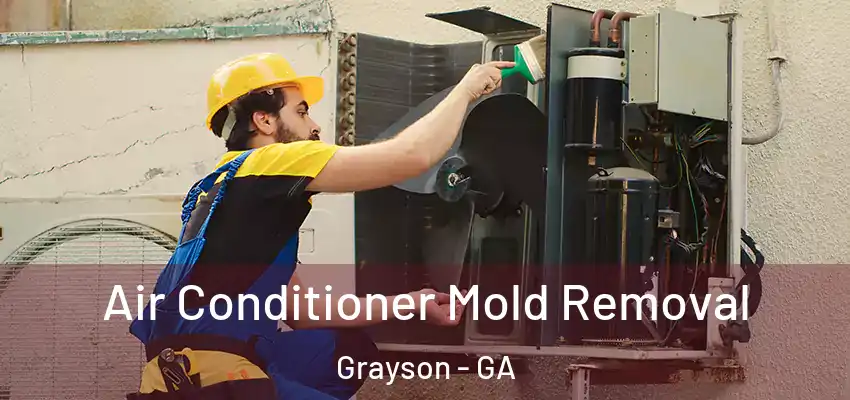 Air Conditioner Mold Removal Grayson - GA