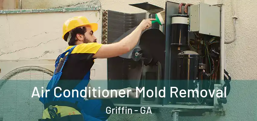 Air Conditioner Mold Removal Griffin - GA