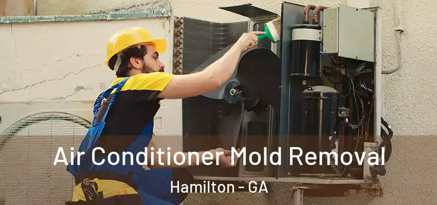 Air Conditioner Mold Removal Hamilton - GA