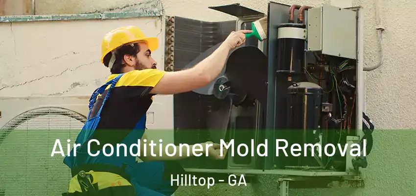 Air Conditioner Mold Removal Hilltop - GA