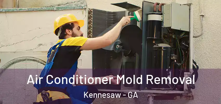 Air Conditioner Mold Removal Kennesaw - GA