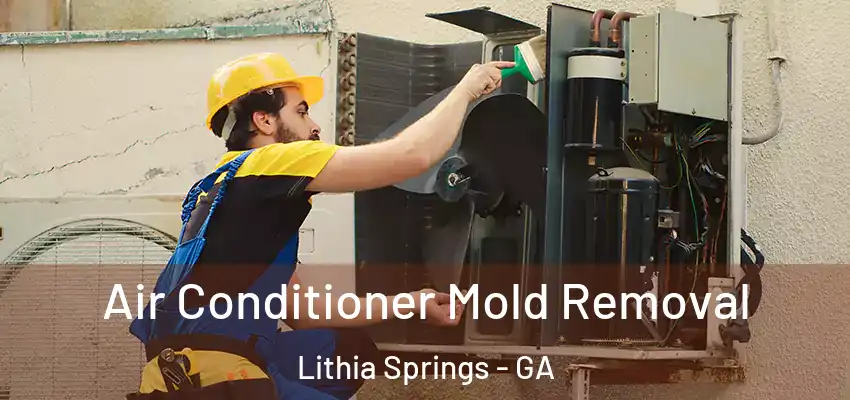 Air Conditioner Mold Removal Lithia Springs - GA