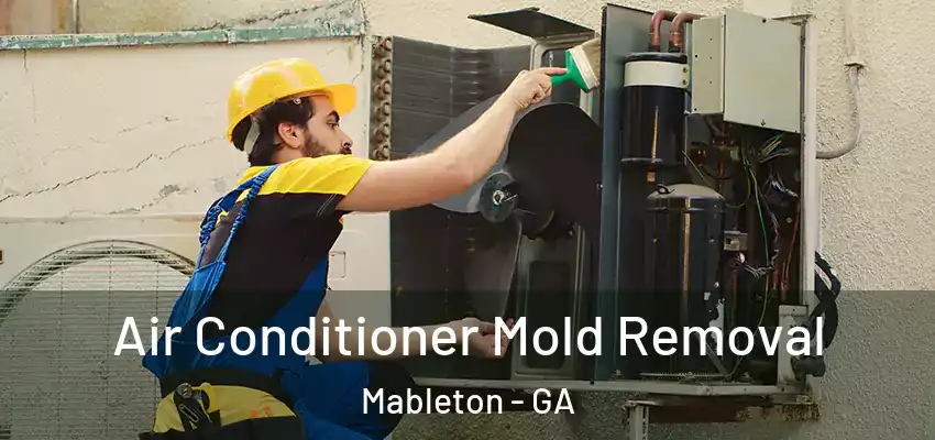 Air Conditioner Mold Removal Mableton - GA
