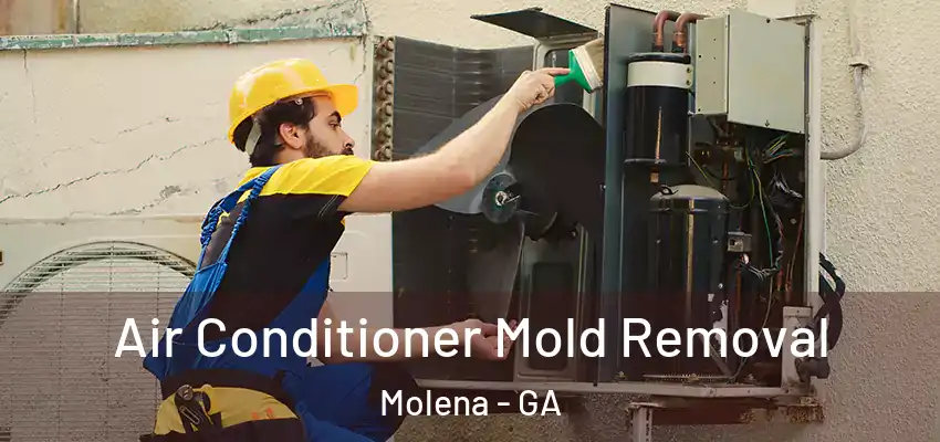  Air Conditioner Mold Removal Molena - GA