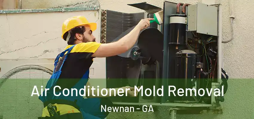 Air Conditioner Mold Removal Newnan - GA