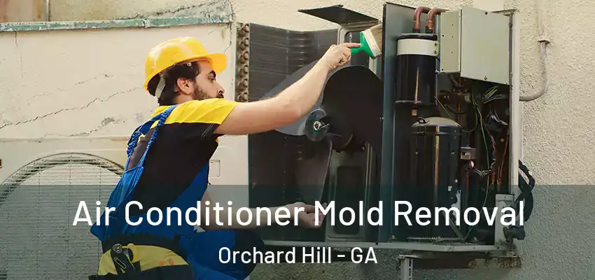 Air Conditioner Mold Removal Orchard Hill - GA