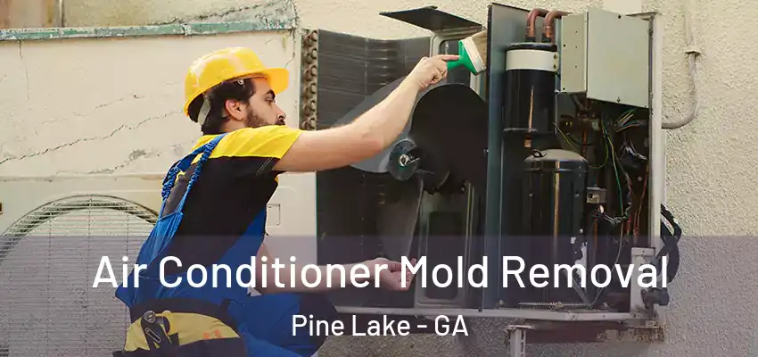 Air Conditioner Mold Removal Pine Lake - GA