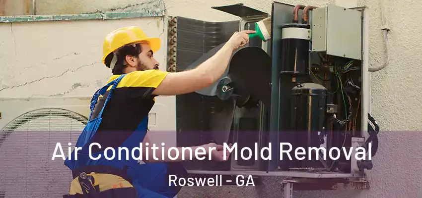 Air Conditioner Mold Removal Roswell - GA