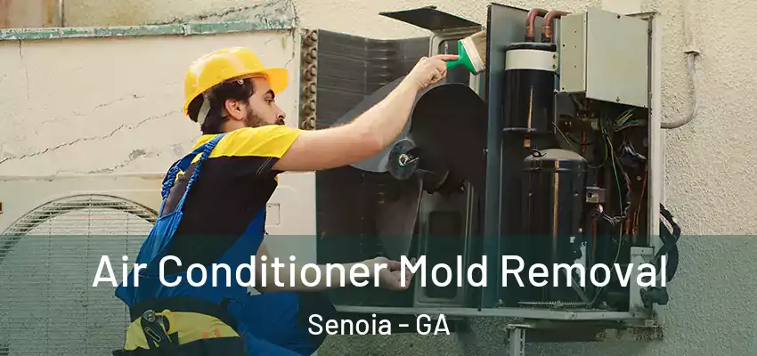  Air Conditioner Mold Removal Senoia - GA