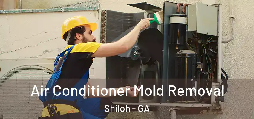 Air Conditioner Mold Removal Shiloh - GA