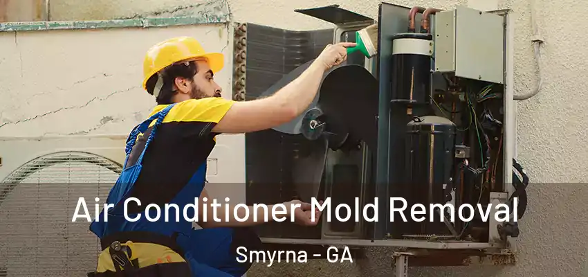 Air Conditioner Mold Removal Smyrna - GA