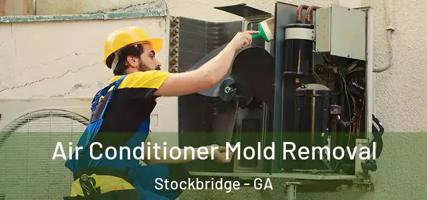 Air Conditioner Mold Removal Stockbridge - GA