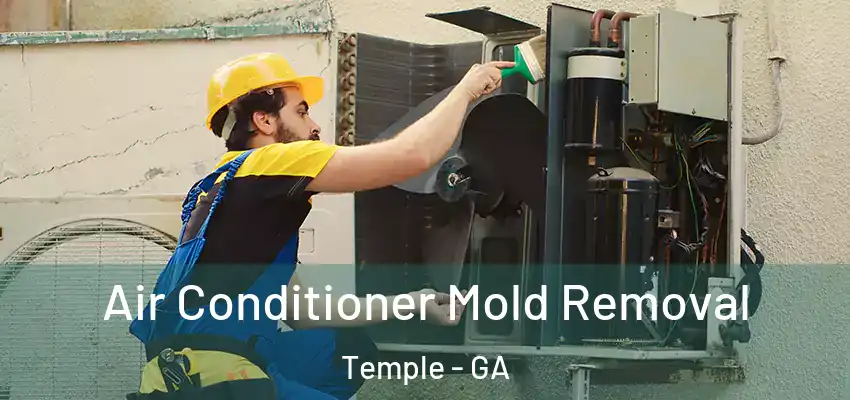 Air Conditioner Mold Removal Temple - GA