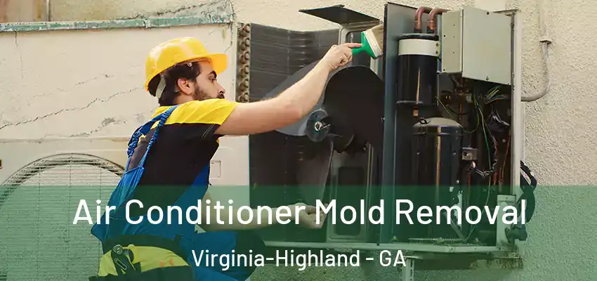 Air Conditioner Mold Removal Virginia-Highland - GA