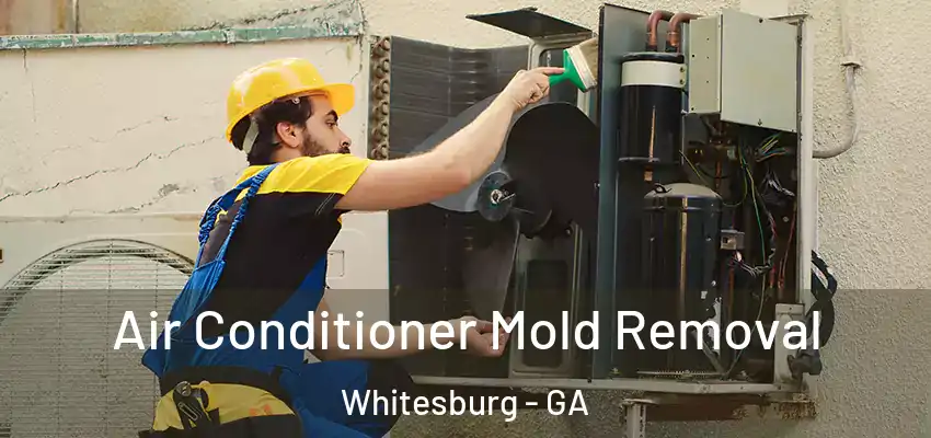 Air Conditioner Mold Removal Whitesburg - GA