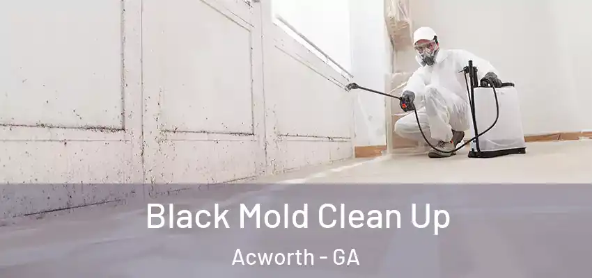 Black Mold Clean Up Acworth - GA