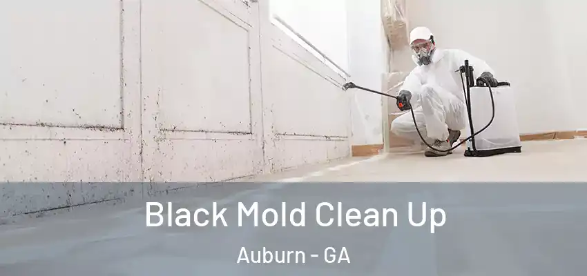 Black Mold Clean Up Auburn - GA