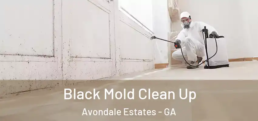 Black Mold Clean Up Avondale Estates - GA