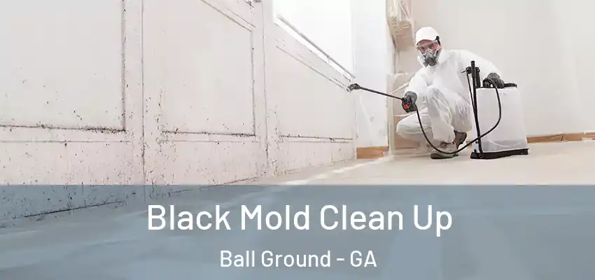  Black Mold Clean Up Ball Ground - GA