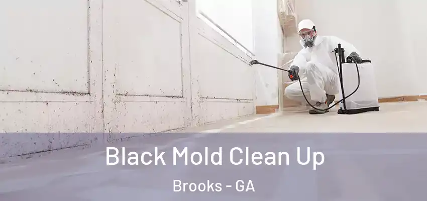 Black Mold Clean Up Brooks - GA