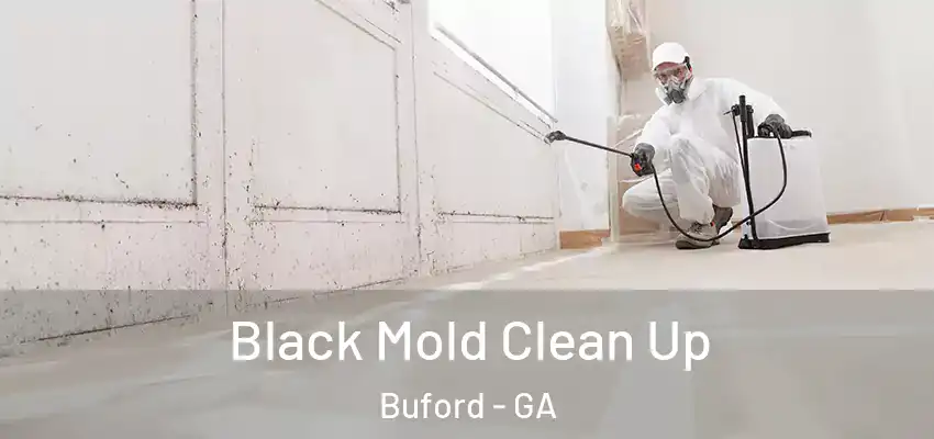 Black Mold Clean Up Buford - GA