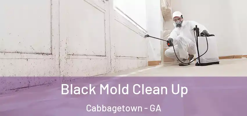Black Mold Clean Up Cabbagetown - GA