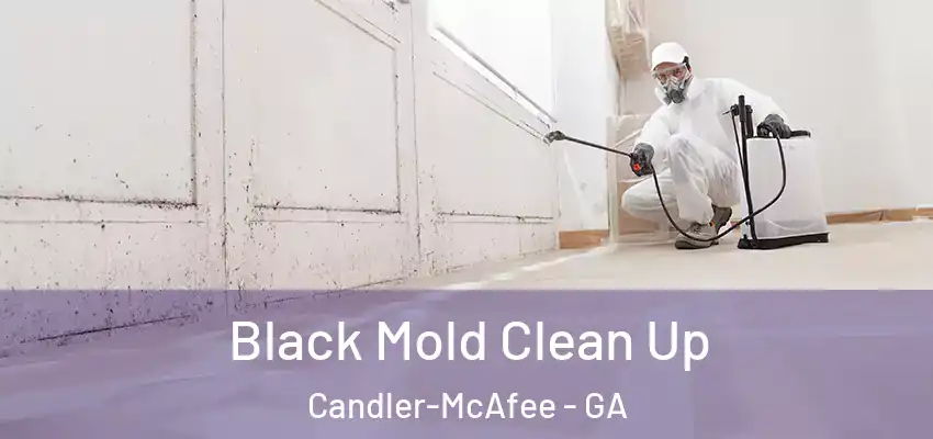 Black Mold Clean Up Candler-McAfee - GA