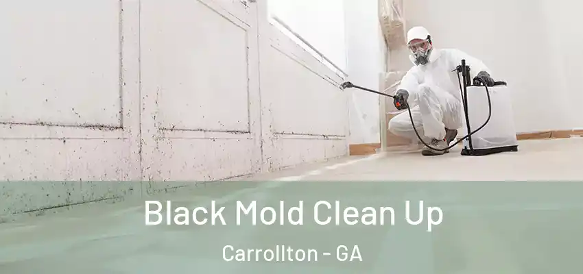 Black Mold Clean Up Carrollton - GA