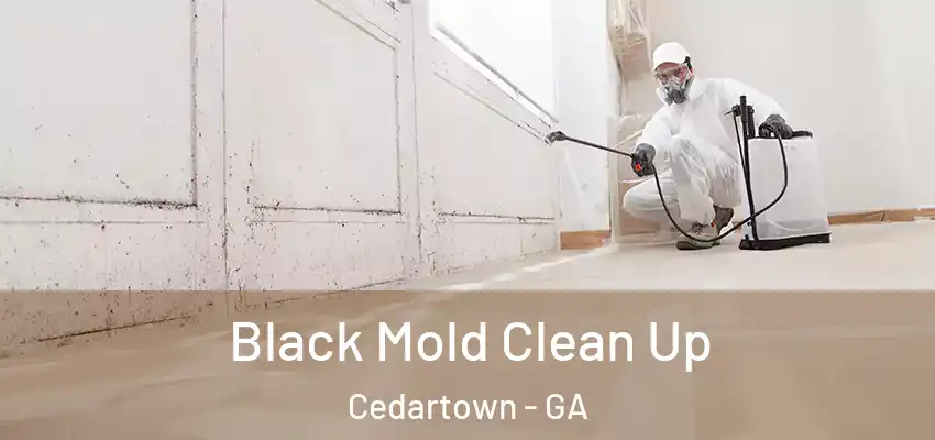 Black Mold Clean Up Cedartown - GA