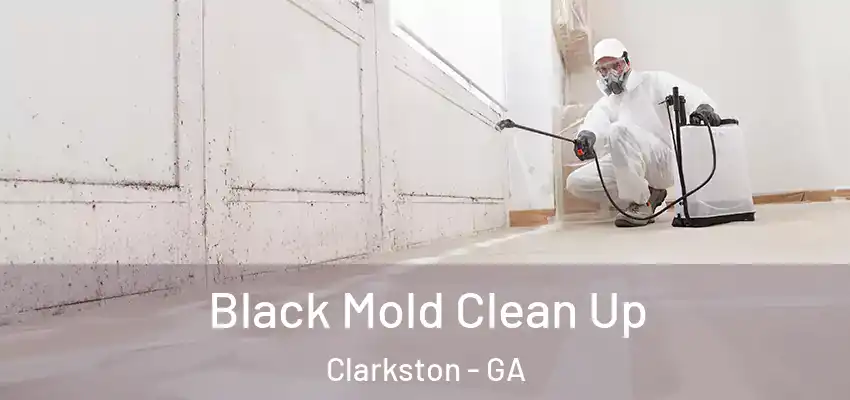 Black Mold Clean Up Clarkston - GA