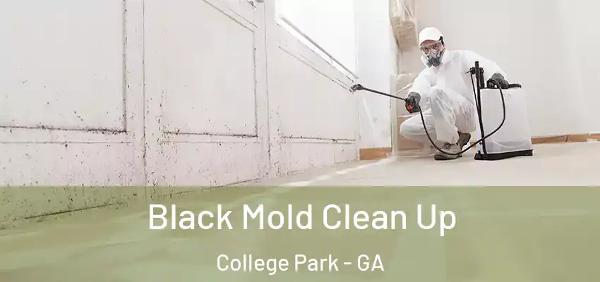 Black Mold Clean Up College Park - GA