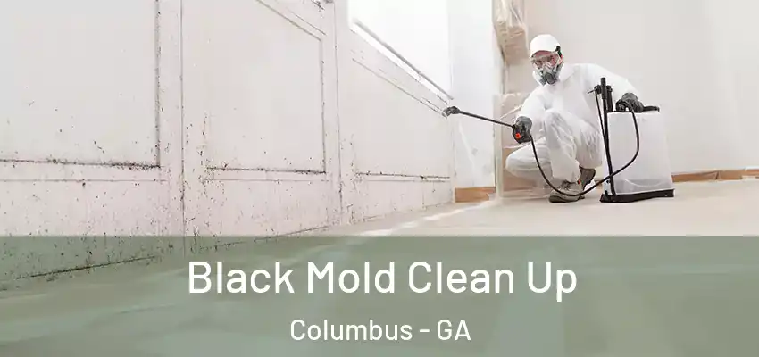 Black Mold Clean Up Columbus - GA