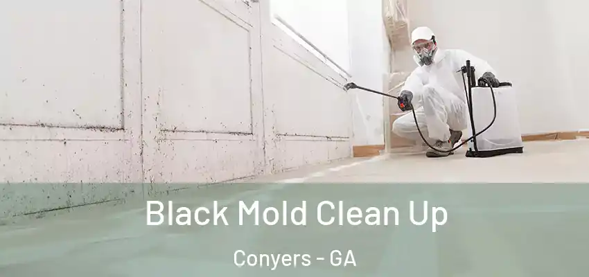 Black Mold Clean Up Conyers - GA
