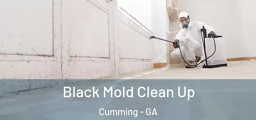 Black Mold Clean Up Cumming - GA