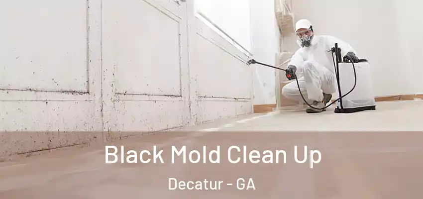 Black Mold Clean Up Decatur - GA