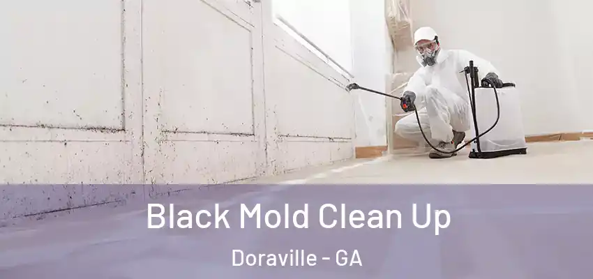 Black Mold Clean Up Doraville - GA