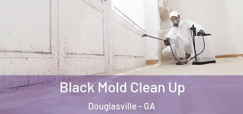 Black Mold Clean Up Douglasville - GA