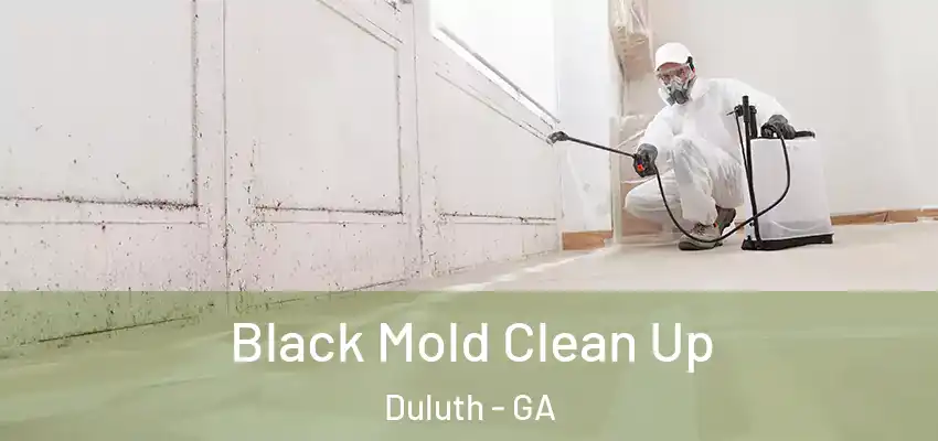 Black Mold Clean Up Duluth - GA