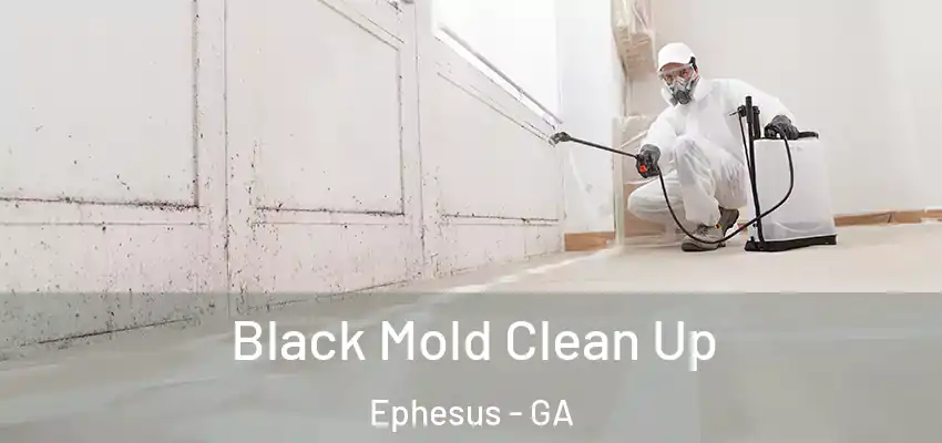 Black Mold Clean Up Ephesus - GA